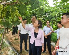 加速建立笼盖种植养殖、出产加工、储存运输、